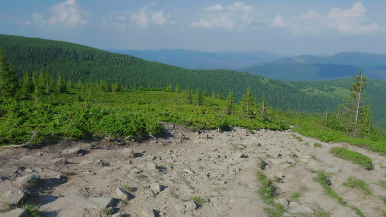 un camino en las montañas desciende sobre un fondo de montañas cubiertas de bosques