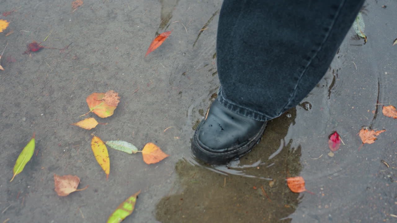 Leg in black boot gently walks through water puddle on wet paved path covered with colorful fallen autumn leaves and pine needles during cold overcast day, creating ripples and reflecting soft light