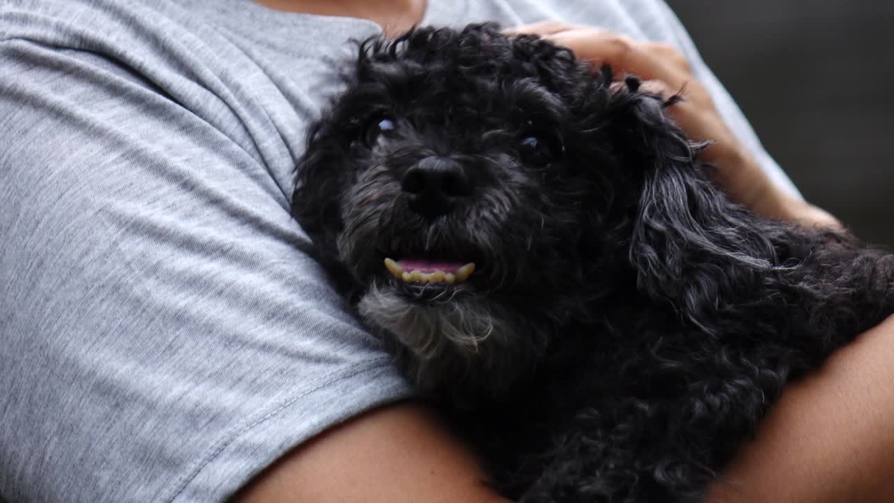 여자가 집에서 개와 함께 휴식을 취하고 있습니다.