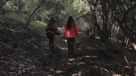 cámara frente a un sendero por donde pasan dos chicas