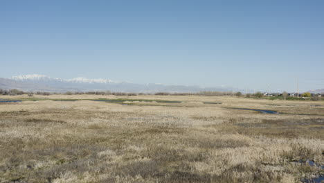 marsh wetlands by utah lake in orem city - aerial midday shot