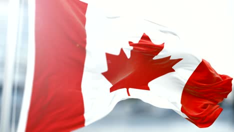 la bandera de canadá se agita lentamente. la bandera se agita de cerca. un bucle sin costuras