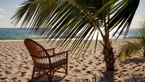 empty chair and palm tree on a sunny tropical beach