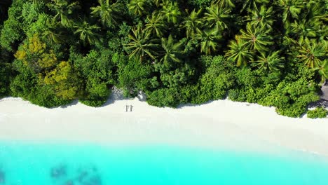 Shiny-lush-vegetation-and-palm-trees-forest-over-white-sand-of-exotic-pristine-beach-washed-by-calm-azure-lagoon-in-Dominican-Republic