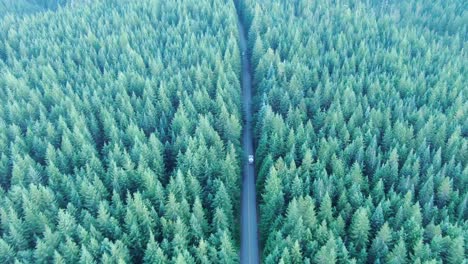 drone shot of a tiny home on wheels