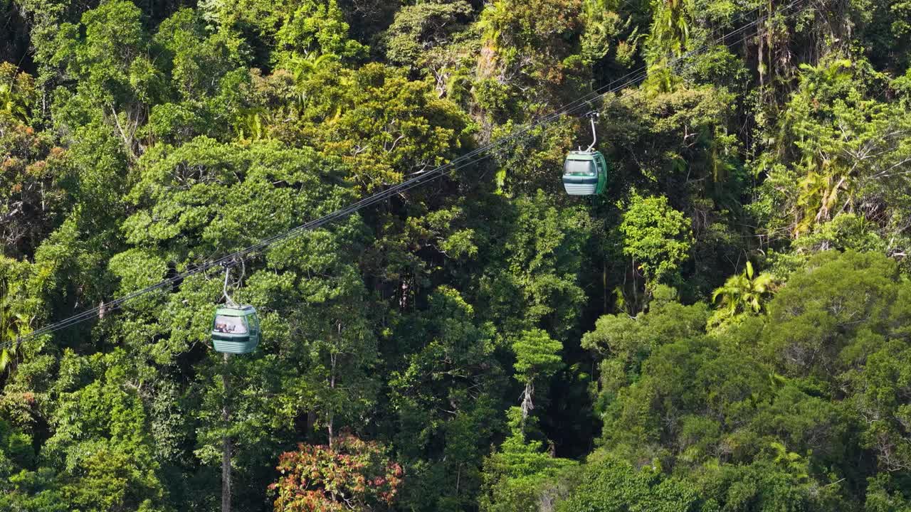 Multiple cable cars travel smoothly over lush, green rainforest canopy in daylight, captured from above with a steady camera and natural lighting