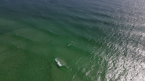 Turistas-Surfeando-En-Las-Aguas-Cristalinas-Del-Mar-De-Tasmania-En-Verano---Fingal-Head-Beach---Nueva-Gales-Del-Sur,-Australia