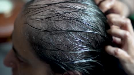 아지는 회색 머리카락을 가로질러 달리는 사람의 손의 클로즈업