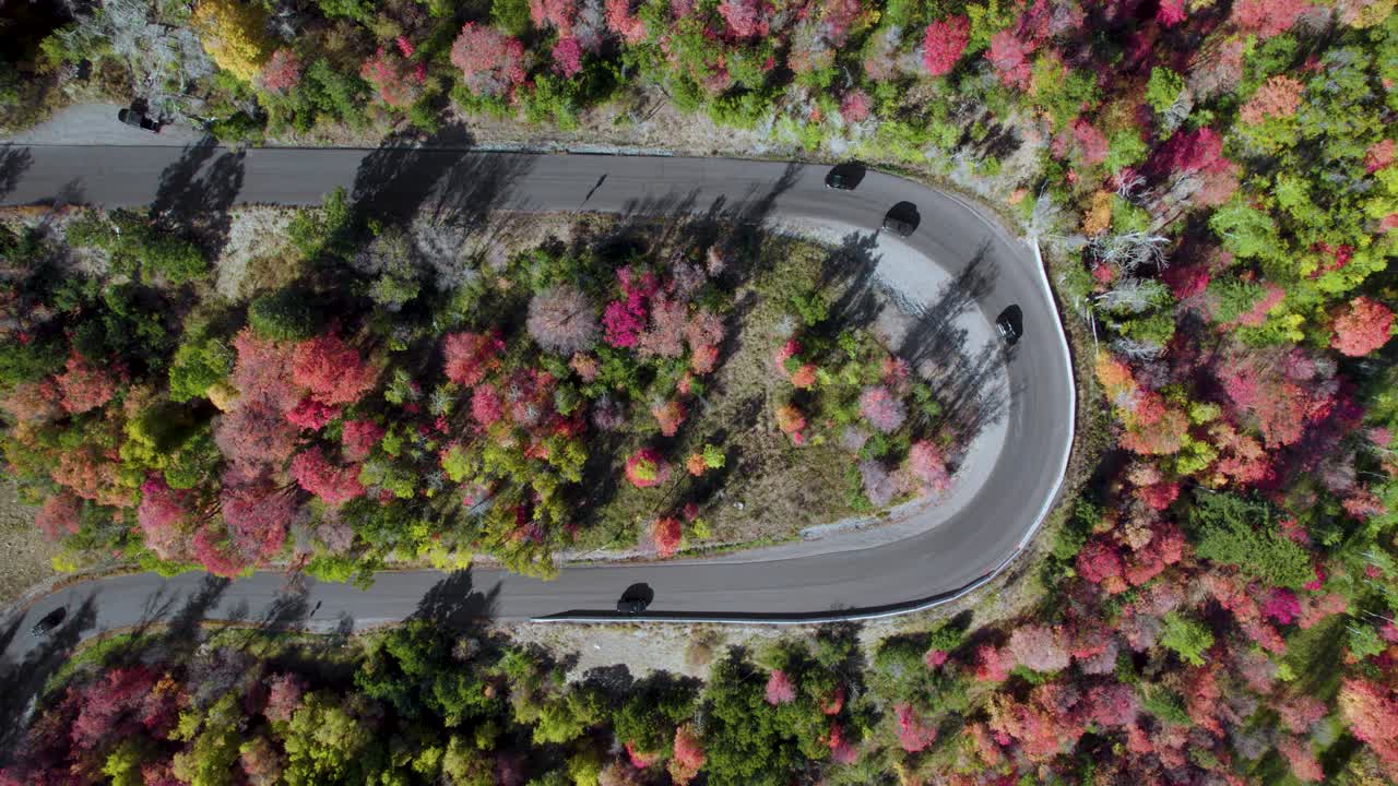 가을색 나무들 사이로 산길을 달리는 자동차들