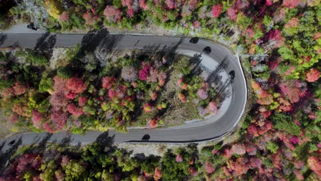 Autos-Fahren-Auf-Einer-Bergstraße-Zwischen-Herbstfarbenen-Bäumen