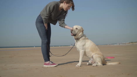 smiling young woman in eyeglasses caressing labrador on beach.