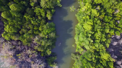 colinas del río manglar malasia langkawi