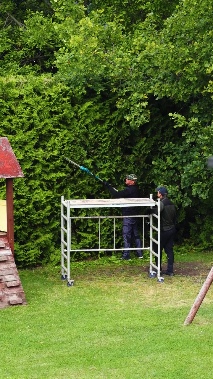 Two dedicated gardeners working together in a backyard, one using a long pole hedge trimmer from a mobile scaffold while the other provides support, shaping the lush green foliage with care