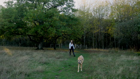 an asian woman walking away from a big tree