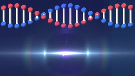 Animation-Eines-3D-DNA-Strangmodells,-Das-Sich-Dreht-Und-Licht-Auf-Dunklem-Hintergrund-Bewegt