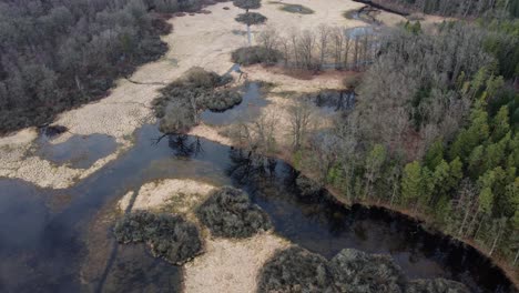 vida rica y biodiversidad en un estanque en una reserva natural