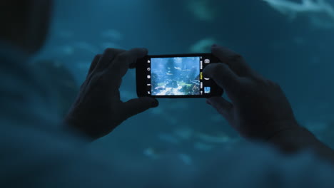 person taking photo of fish in an aquarium