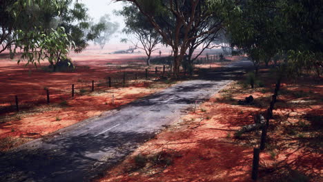 un camino de tierra solitario en el interior de australia