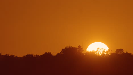 beautiful and colorful sunset timelaps the sun vanishing behind the trees in la