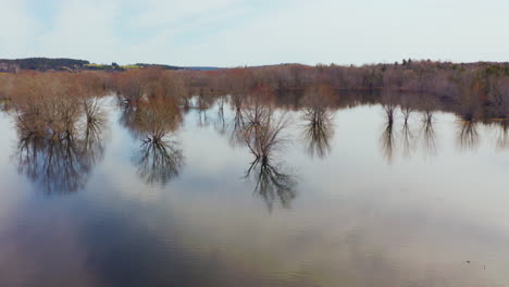 vista aérea de drones volando sobre un río inundado con árboles bajo el agua