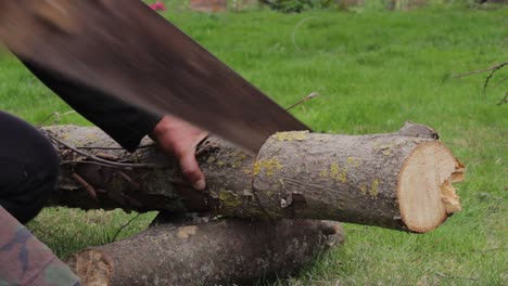 molienda lenta de madera de la jungla con una sierra de mano