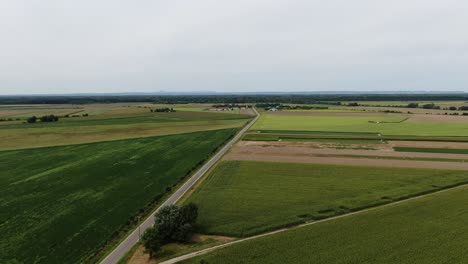 Road-Along-The-Green-Crops-Growing-In-The-Countryside-Fields