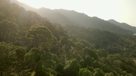 Toma-Aérea-Inversa-De-La-Exuberante-Selva-Tropical-Al-Amanecer-En-Koh-Chang,-Tailandia