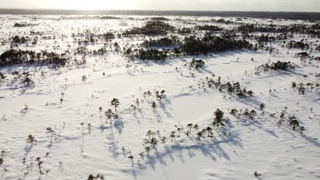 vista aérea de drones de un pantano cubierto de nieve en un hermoso día de invierno