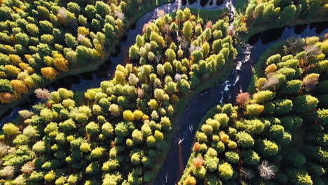 aerial view of winding river through autumn forest