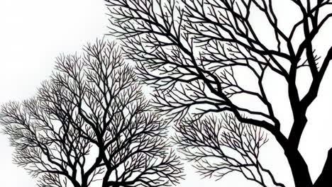 black silhouettes of bare tree branches against a white background