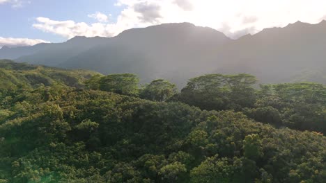 4K CGI aerial drone footage flying over Hawaii’s rainforests—ideal for showcasing lush landscapes, tropical biodiversity, and untouched natural beauty.