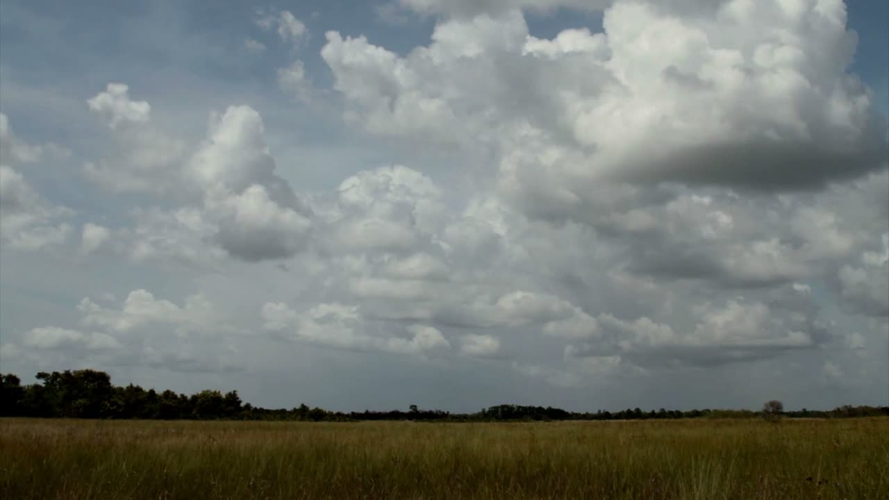 lapso de tiempo de las nubes sobre los everglades 1