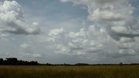 time lapse of clouds over the everglades 1