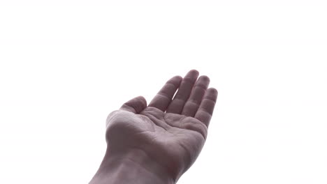 mano que muestra un signo de llamada en fondo blanco - gesto para llamar o llamar a alguien