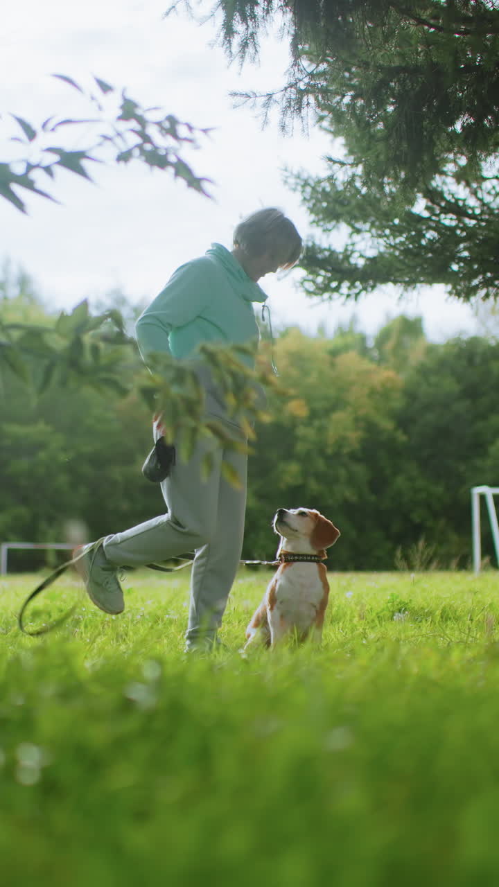 Elderly man walking, An elderly person ambles through grass with faithful beagle companion, Mature man leisurely strolls across lush green fields alongside his devoted beagle under shade of trees