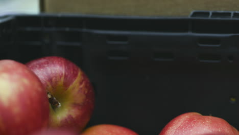 caucasian male hand picking up an apple from a community food bank