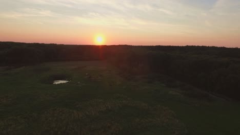 antena: reserva natural oranjezon durante la puesta de sol