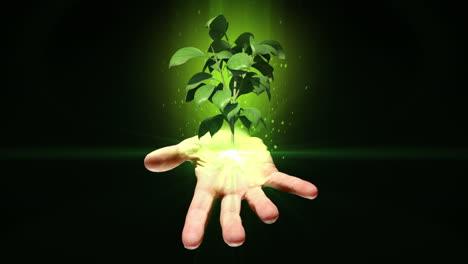 hand presenting digital green plant growing