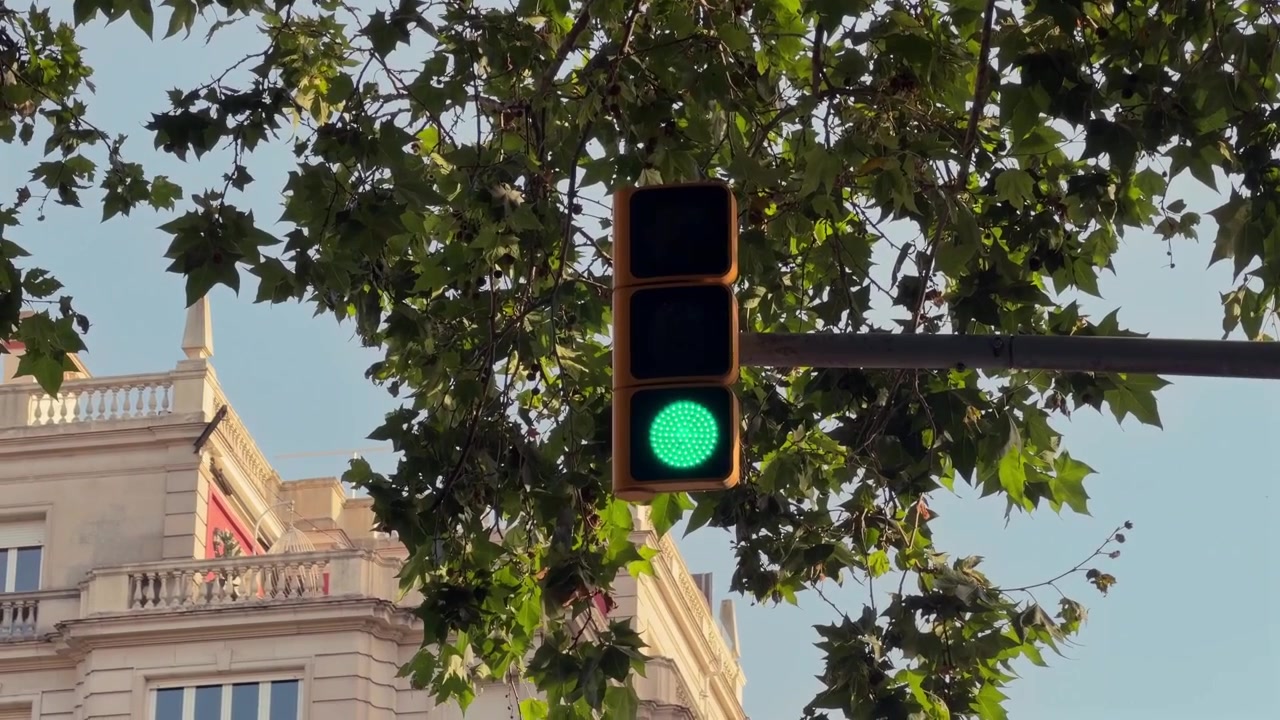 Toma estática 4K de un semáforo cambiando de rojo a verde bajo árboles frondosos, con un edificio histórico de la ciudad de fondo durante el día