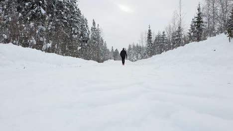 Mann-Von-Hinten-Gesehen,-Der-Allein-Auf-Einem-Verschneiten-Waldweg-Geht