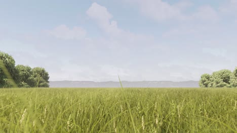 a meadow, grass land, with mountains at the background and clear sky, 3d animation, nature scenery, camera dolly forward