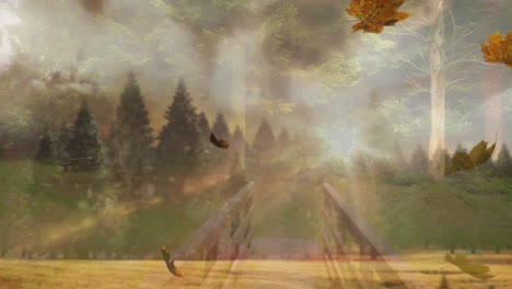 falling leaves in autumn, wooden bridge crossing serene forest landscape