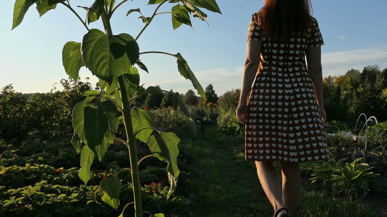 mujer con cabello rojo y vestido caminando en el jardín con grandes girasoles al atardecer