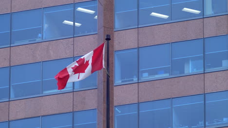canadian flag on office building