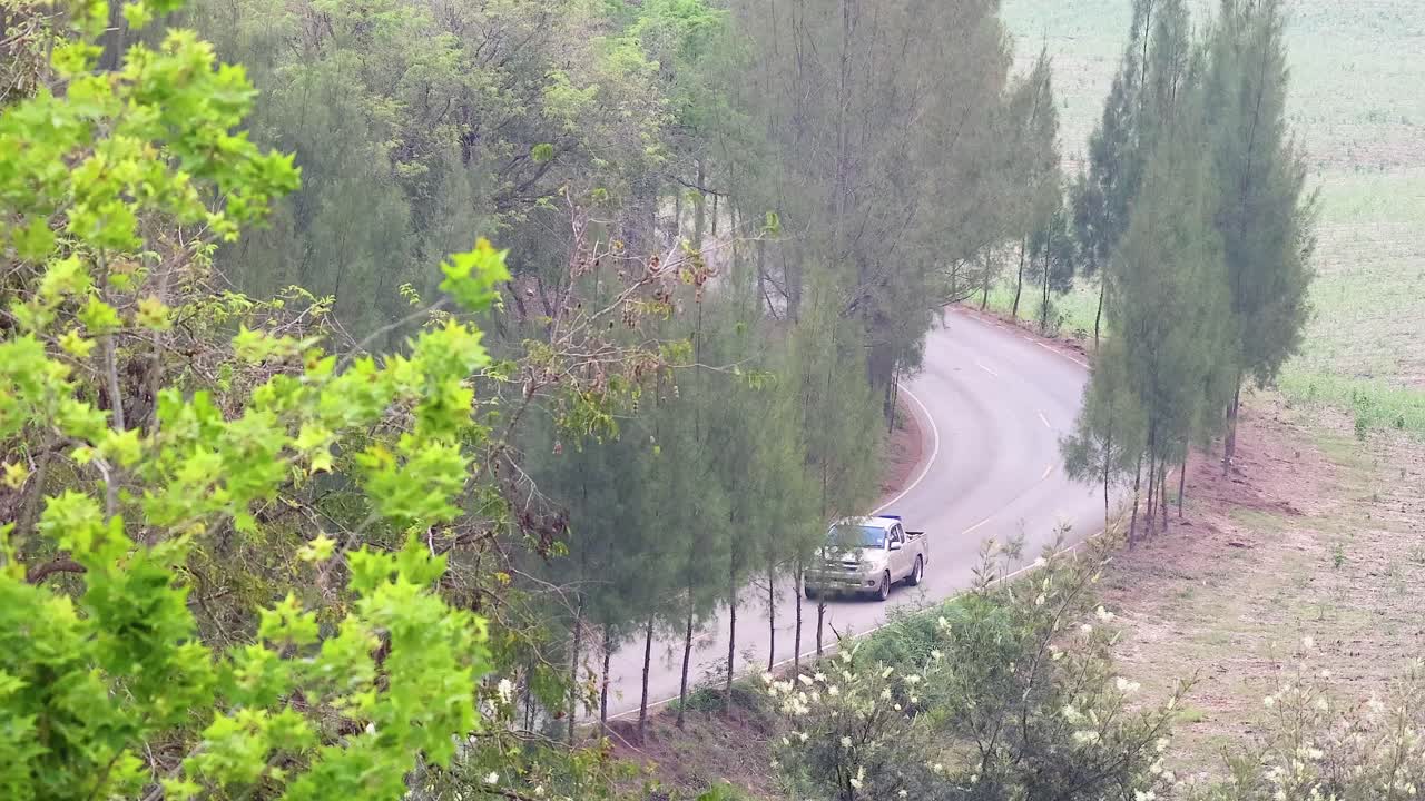 차량은 자연에서 휘어지는 도로에서 이동합니다.