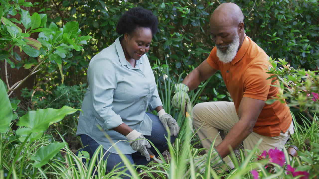 una pareja de ancianos afroamericanos con guantes de mano jardinando juntos en el jardín