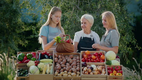 A-family-of-farmers-at-the-counter-of-an-agricultural-fair.-Local-vegetables-on-the-counter