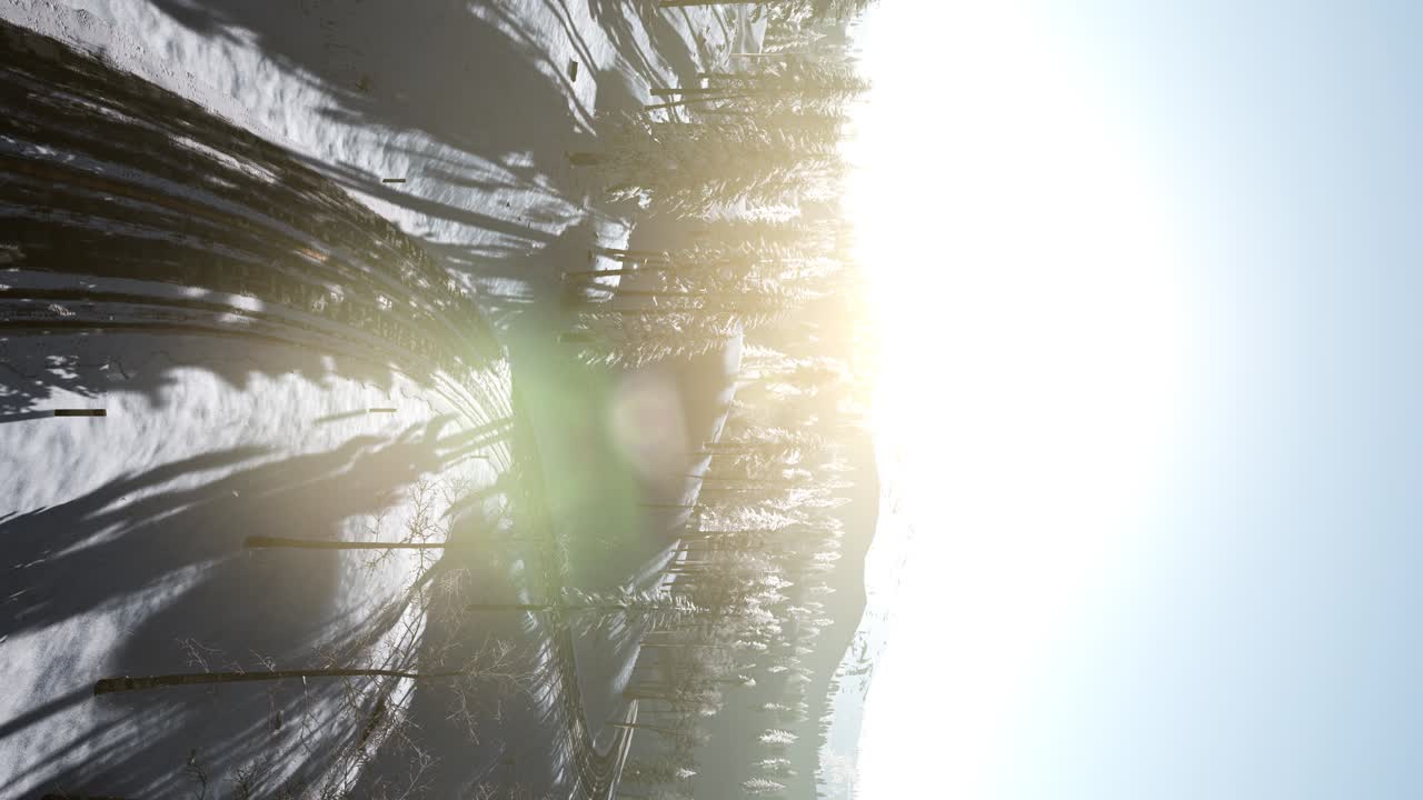 vuelo sobre el bosque de invierno