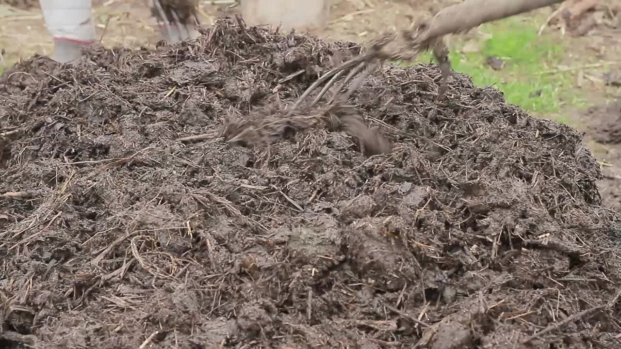 hacer compost en el jardín con la gente imágenes de stock video de stock