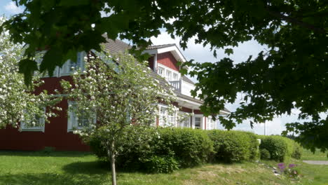 typical idyllic nordic house and beautiful garden with maple tree